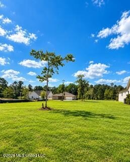 /international/us/12475-alphabet-road-lot-12-gulfport-ms-110110350818/