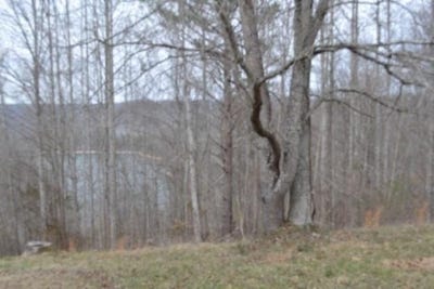 /international/us/fox-hill-road-lot-4-5-baxter-tn-110106010839/
