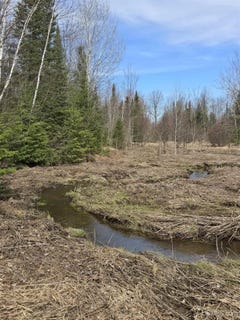 /international/us/woodspur-road-ontonagon-mi-110098594411/