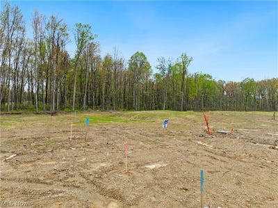 /international/us/9525-river-birch-run-brecksville-oh-110108058957/