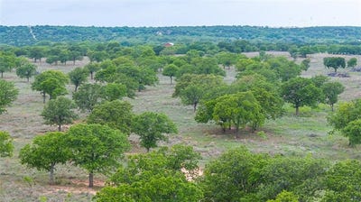 /international/us/1034-county-road-207-ovalo-tx-110104839068/