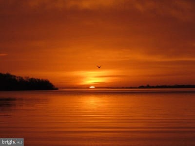 /international/us/1315-wildwood-beach-road-essex-md-110092775430/?lang=it