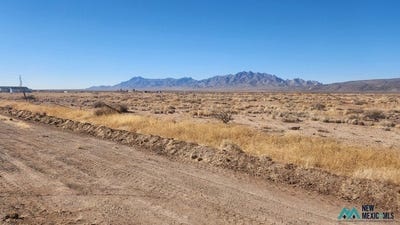 /international/us/s-palo-verde-road-e-deming-nm-110110373598/
