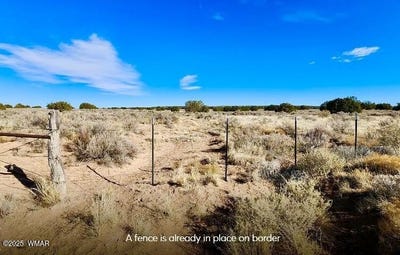 /international/us/tbd-cedar-hills-104-79-acres-st-johns-az-110100314427/