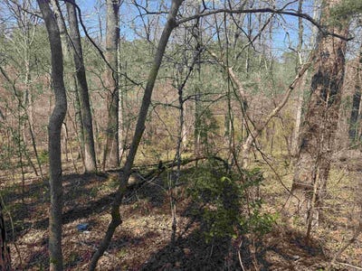 /international/us/009-00062-000-hwy-177-salesville-ar-110108013464/