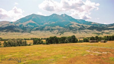 /international/us/nhn-mule-deer-road-pray-mt-110100329072/