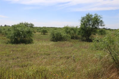 /international/us/807-county-road-215-rising-star-tx-110108452107/