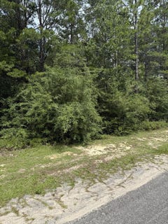 /international/us/16-lots-watson-rd-defuniak-springs-fl-110100419748/?lang=en