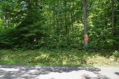 /international/us/lot-2-hibbard-road-big-flats-ny-110097611586/