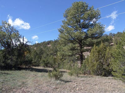 /international/us/lot-88-ranch-road-tee-pee-ranch-datil-nm-110103318562/