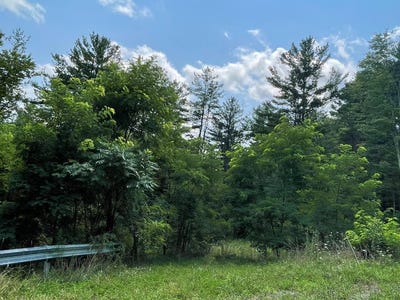 /international/us/lot-31-hemlock-hills-rd-towanda-pa-110090761057/