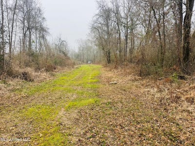 /international/us/sidney-ellzey-road-tylertown-ms-110105845842/