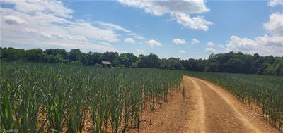 /international/us/429-harbour-lane-dobson-nc-110098784956/