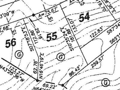 /international/us/203-leeds-lane-daniels-wv-110010181193/