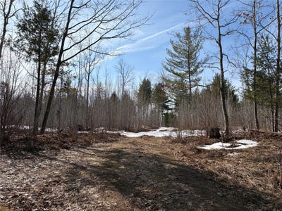 /international/us/on-state-highway-70-park-falls-wi-110106923110/