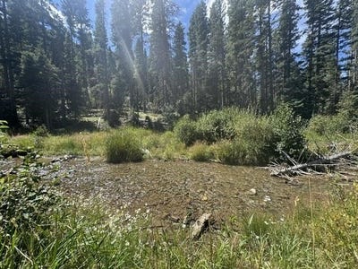 /international/us/1325-highway-150-taos-ski-valley-nm-110119691143/