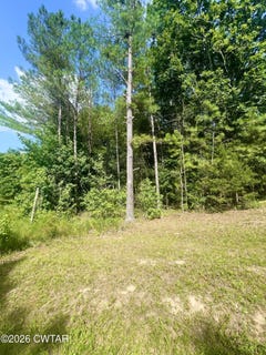 /international/us/old-hart-road-lexington-tn-110109180759/