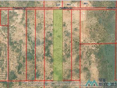 /international/us/tract-3b-merlinda-road-dexter-nm-110091605627/?lang=zh-tw