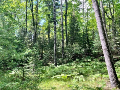 /international/us/5-ac-on-knuth-ln-eagle-river-wi-110101153109/
