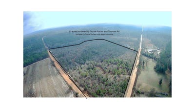 /international/us/thunder-road-batesburg-leesville-sc-110104586592/
