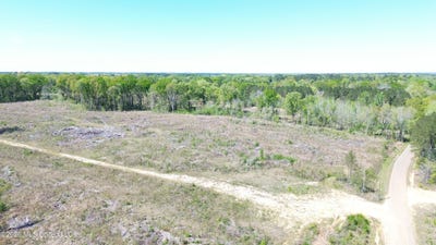 /international/us/pettey-road-forest-ms-110106956041/