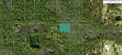 /international/us/n-a-polk-city-fl-110094195677/?lang=en