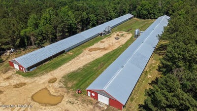 /international/us/smithtown-chicora-road-state-line-ms-110108297379/