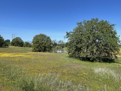 /international/us/lot-71-arlington-park-place-cottonwood-ca-110096834687/