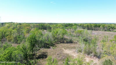 /international/us/pettey-road-forest-ms-110106955081/