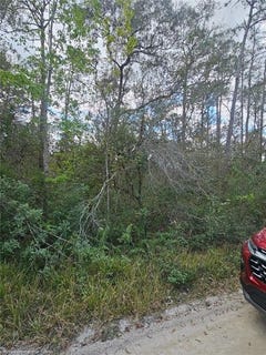 /international/us/801-canal-way-sebring-fl-110109010623/