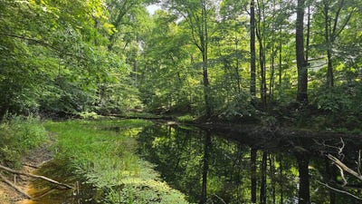 /international/us/collinwood-drive-oak-hill-wv-110105077914/