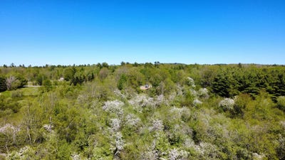 /international/us/1-goose-river-estates-swanville-me-110108279871/