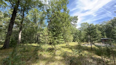 /international/us/151-n-horseshoe-bend-road-manistee-mi-110110198078/