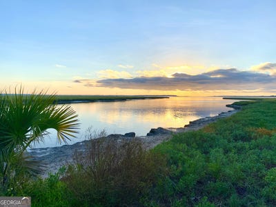 /international/us/115-overlook-lane-st-marys-ga-110120488367/