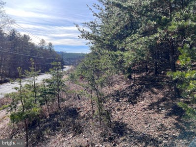 /international/us/winchester-grade-road-berkeley-springs-wv-110107289202/