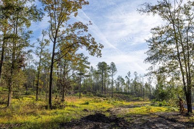 /international/us/0-whitehouse-fork-road-bay-minette-al-110090437624/