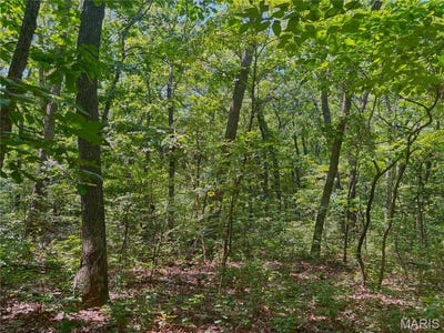 /international/us/20-acres-fire-tower-rd-unincorporated-mo-110101148087/