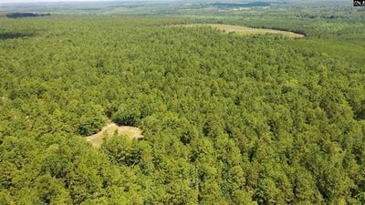 /international/us/0-huckleberry-finn-road-batesburg-leesville-sc-110101154006/?lang=en