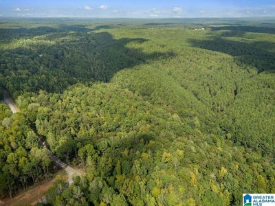 /international/us/307-mulberry-avenue-lot-21-cordova-al-110120499917/