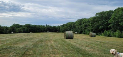 /international/us/bingham-road-gilmanton-nh-110105972412/