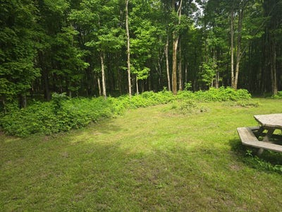 /international/us/204-valley-view-dr-smyrna-ny-110100264416/?lang=en