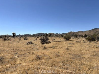 /international/us/58225-san-andreas-road-yucca-valley-ca-110108201649/