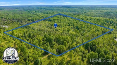 /international/us/8789-38th-road-rapid-river-mi-110108664730/