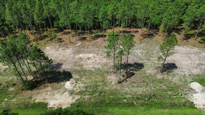 /international/us/0-wilbur-pridgen-rd-harrells-nc-110108480392/
