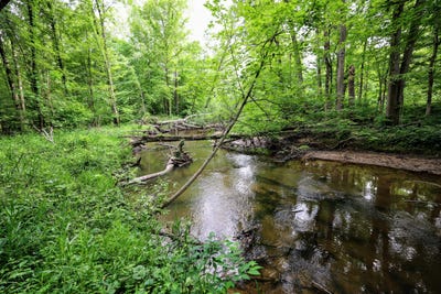/international/us/vl-black-river-rd-bangor-mi-110109168685/