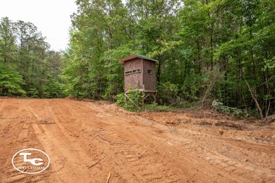 /international/us/0-m-l-king-hwy-eutaw-al-110107535434/