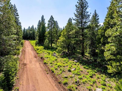 /international/us/9454-ridge-road-alturas-ca-110108854559/