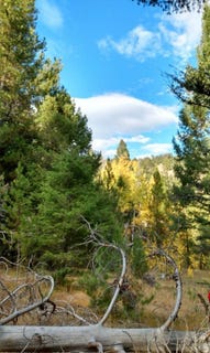 /international/us/nhn-hoover-creek-road-helmville-mt-110108770974/
