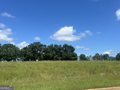 /international/us/24-camden-way-hawkinsville-ga-110100681966/