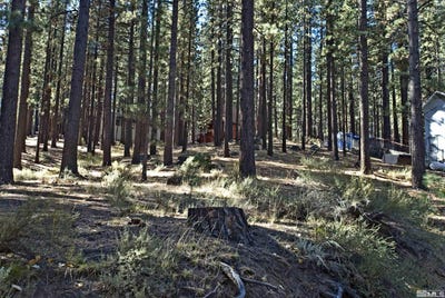 /international/us/66-pleasant-valley-road-markleeville-ca-110086130437/